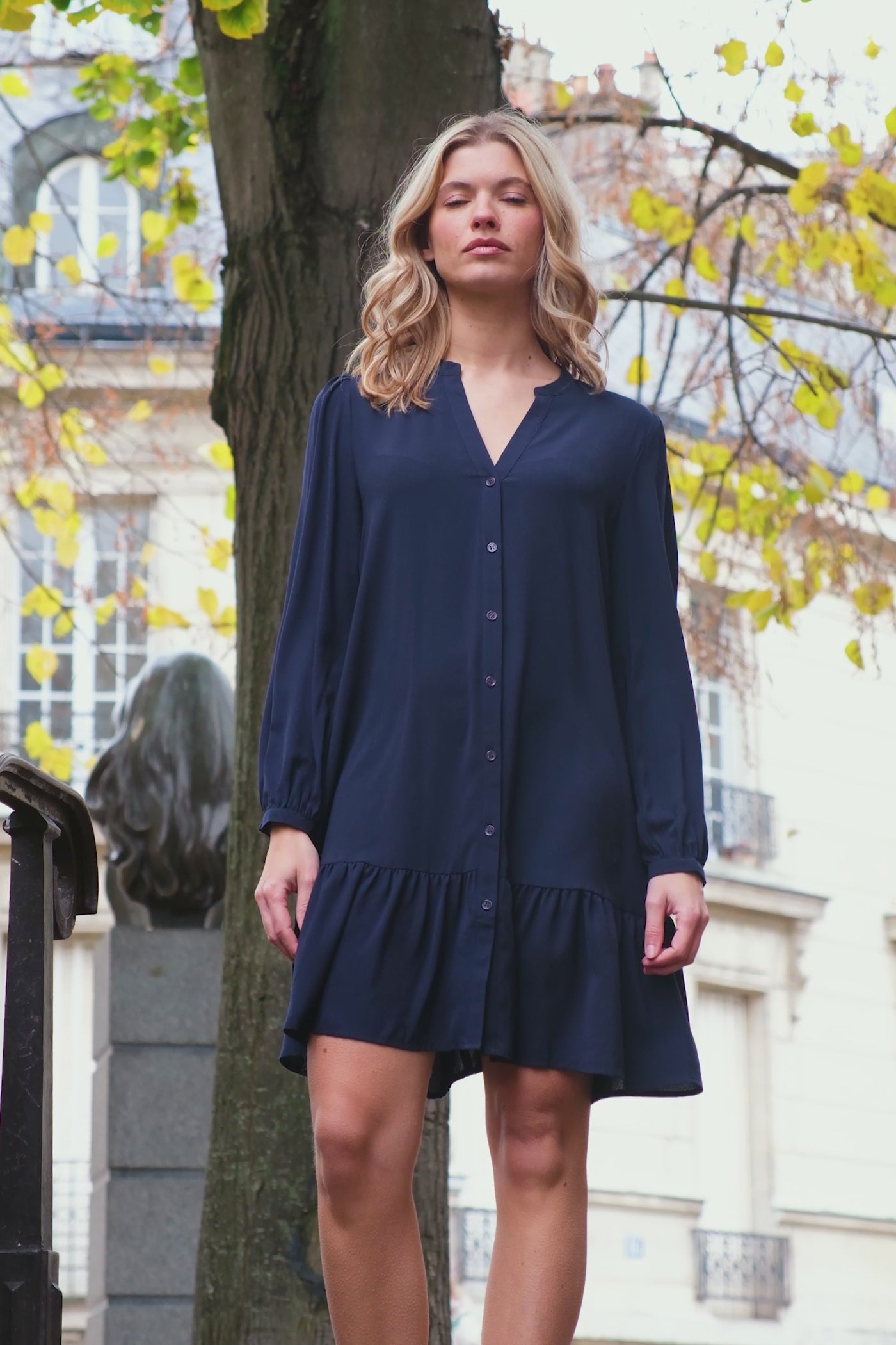 Flared Dress Robbie - Navy